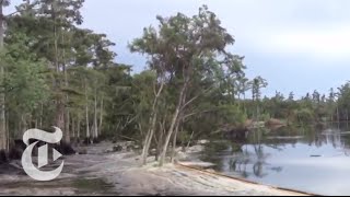 Sinkhole in Louisiana Swallows Trees  Caught on Tape 2013  The New York Times [upl. by Anicnarf]