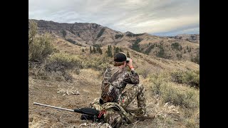 Public Land Idaho Elk Hunting 2021 [upl. by Malsi]