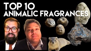 Top 10 Animalic Fragrances [upl. by Irehs]