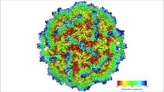 Structure of the Macrobrachium rosenbergii nodavirus A new genus within the Nodaviridae [upl. by Cila]