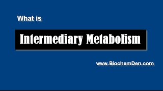 What is Metabolism Basics of Metabolism [upl. by Yeznil]