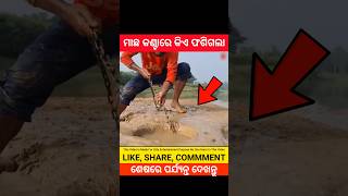 ମାଛ କଣ୍ଟାରେ କିଏ ଫସି ଯାଇଛି 😱 Odia Gopo Odia Gappa ShortsOdia shortvideo ytshots shortsfeed shorts [upl. by Idnyc634]