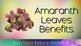 Amaranth Leaves Benefits and Uses [upl. by Yelsna]