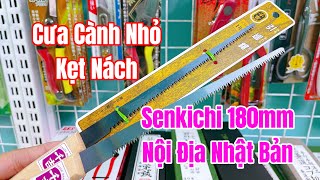 Tập 1347  Cưa kẹt nách cành nhỏ Senkichi Lưỡi 180mm nội địa Nhật Bản [upl. by Agatha]