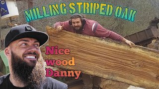 Harbor Freight sawmill slicing big striped oak [upl. by Dreher]