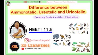 Difference between Ammonotelic Ureotelic and Uricotelic mode of Excretion  NEET  FoundationCollegeFC [upl. by Gen]