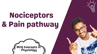 Nociceptors amp Pain pathway  MCQ concepts [upl. by Alyad]