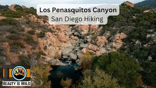 Penasquitos Creek Waterfall Loop via Carmel Valley  Waterfall San Diego Hikes [upl. by Blayze921]