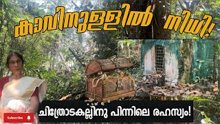 കാവിനുള്ളിൽ നിധി  hidden treasure inside kavu real story [upl. by Eirrahs]