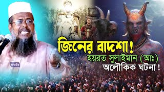 জ্বীনের বাদশা সুলাইমান রা এর অলৌকিক ঘটনা । তোফাজ্জল হোসেন ভৈরবী । tofazzal hossain  Bangla Waz [upl. by Adnama]