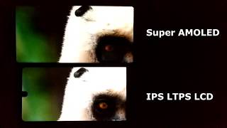 Super Amoled vs IPS Display Test [upl. by Sorgalim]