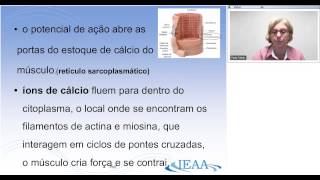 Especialização em Motricidade Orofacial 2013 Aula 01 20130319 2251 2 [upl. by Ueihttam]