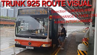 Route Visual SMRT Bus Service 925 FULL Route – Spec MercedesBenz Citaro Woodlands》Choa Chu Kang [upl. by Lumbye]