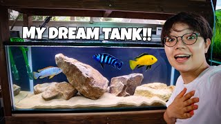 Setting Up the AFRICAN CICHLID TANK for REAL [upl. by Rambow167]