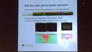 July 16 2013  How WGCNA Can be Used to Compare and Contrast Two Networks [upl. by Hart]