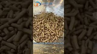 FEED PELLETS WOOD PELLETS MACHINE woodpelletfactory woodpelletmachine machine woodpellet [upl. by Lombardy]