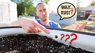 The Ugly Truth about Raised Beds [upl. by Griggs]