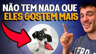 5 Melhores Brinquedos Pro Cachorro Ficar Sozinho [upl. by Almeida]