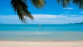 Best of Koh Samui Thailand top sights [upl. by Atteuqram476]