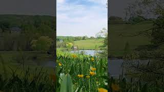 Winterthur Museum Garden and Library Delaware [upl. by Ennayt]