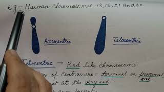 Types of Chromosome In HINDI For CSIR NET and NEET [upl. by Aitnauq]