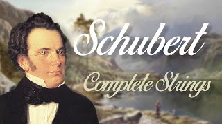 Schubert Complete String Quartets [upl. by Seton]