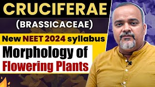 NEET 2024 UPDATED SYLLABUS  Plant Families  Cruciferae  NEET Biology neet neet2024 neetprep [upl. by Anoet]