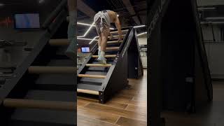 Jacobs Ladder gym cardio workout musculación halterofilia [upl. by Iznekcam]