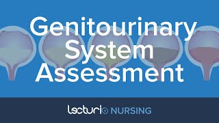 Nursing Assessment of the Kidneys amp Genitourinary System  Physical Assessment [upl. by Ajiram]