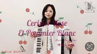 accordion Cerisier Rose et Pommier Blanc 樱桃树下 ｜仲凯改编 [upl. by Leotie]