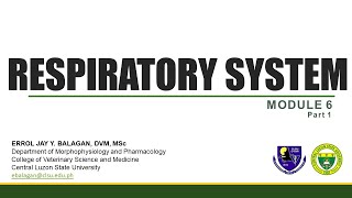 histology of respiratory syestem part 1 [upl. by Riggs]