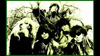 The Fuzztones  Strychnine 1984 [upl. by Skutchan]