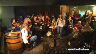 Dervish  Traditional Irish Music from LiveTradcom Clip 4 [upl. by Enieledam]