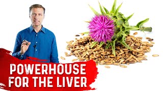 Silymarin in Milk Thistle is a Powerhouse for the Liver [upl. by Dira]