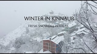 Winter in Kinnaur  Fresh Snowfall in Kalpa  January 2019  Travel Video [upl. by Lad]