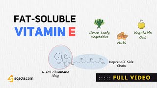 FatSoluble Vitamin E Biochemistry  Tocopherols and Tocotrienols  Lipid Peroxidation [upl. by Witherspoon]