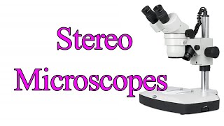 Stereo microscope I Stereo zoom microscope I Dissecting microscope I Stereo Vs light microscope [upl. by Malchy]