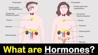 What are Hormones  Endocrine Glands  Hindi  Priyank Singhvi [upl. by Sheley]