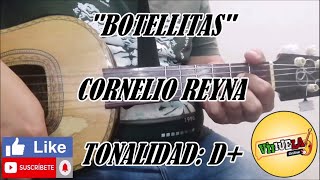 Botellitas  Cornelio Reyna  Cover Vihuela [upl. by Ynogoham]