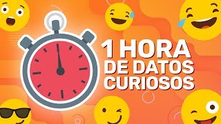 1 HORA SIN PAUSAS DE DATOS CURIOSOS XpressTV [upl. by Teodoor]