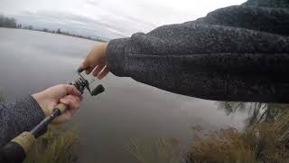 Sacramento Lake Fishing  Mather Lake 311 [upl. by Enoid549]