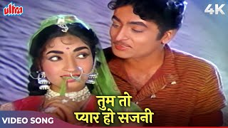 Tum To Pyar Ho Sajni Color 4K  Mohammed Rafi Lata Mangeshkar  Sandhya  V Shantaram Sehra 1963 [upl. by Knowles]