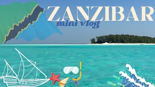 ZANZIBAR  mini vlog  🐠⛵️ [upl. by Nauht734]