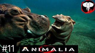 Hippo Territory  Defending Against Predators in the Savannah  Animalia Survival Hippo Gameplay [upl. by Irelav]