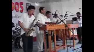 MARIMBA ORQUESTA TROPICAL quotSANTA ROSAquot [upl. by Ridley857]