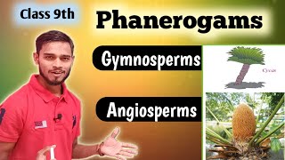 Classification of PlantsPhanerogams Ep03Class 9th [upl. by Buff]