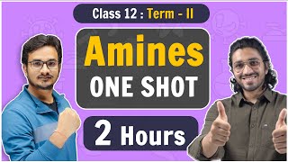 Class 12  Amines in One Shot  NCERT Term2 [upl. by Jeromy]