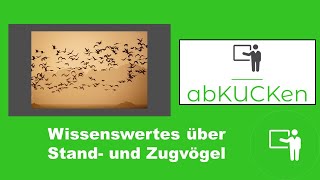 Stand und Zugvögel — Vogelkunde – Sachunterricht – Grundschule [upl. by Allac]