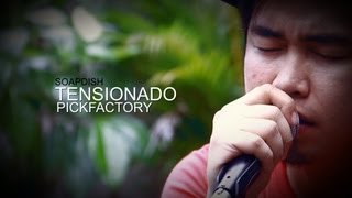 Soapdish  Tensionado PickFactory Live cover [upl. by Denten]