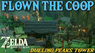 Flown the Coop Side Quest  Zelda Breath of the Wild [upl. by Renato458]